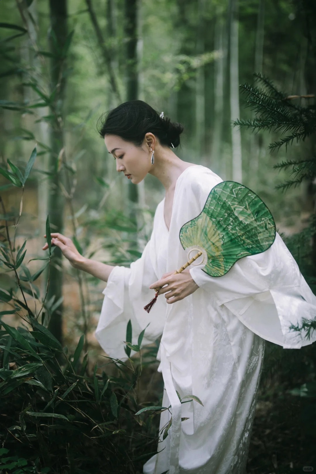 Tre ảnh hưởng gì tới nhà ở? cách trồng tre đúng chỗ cho không gian sống thêm may mắn - Ảnh 2.