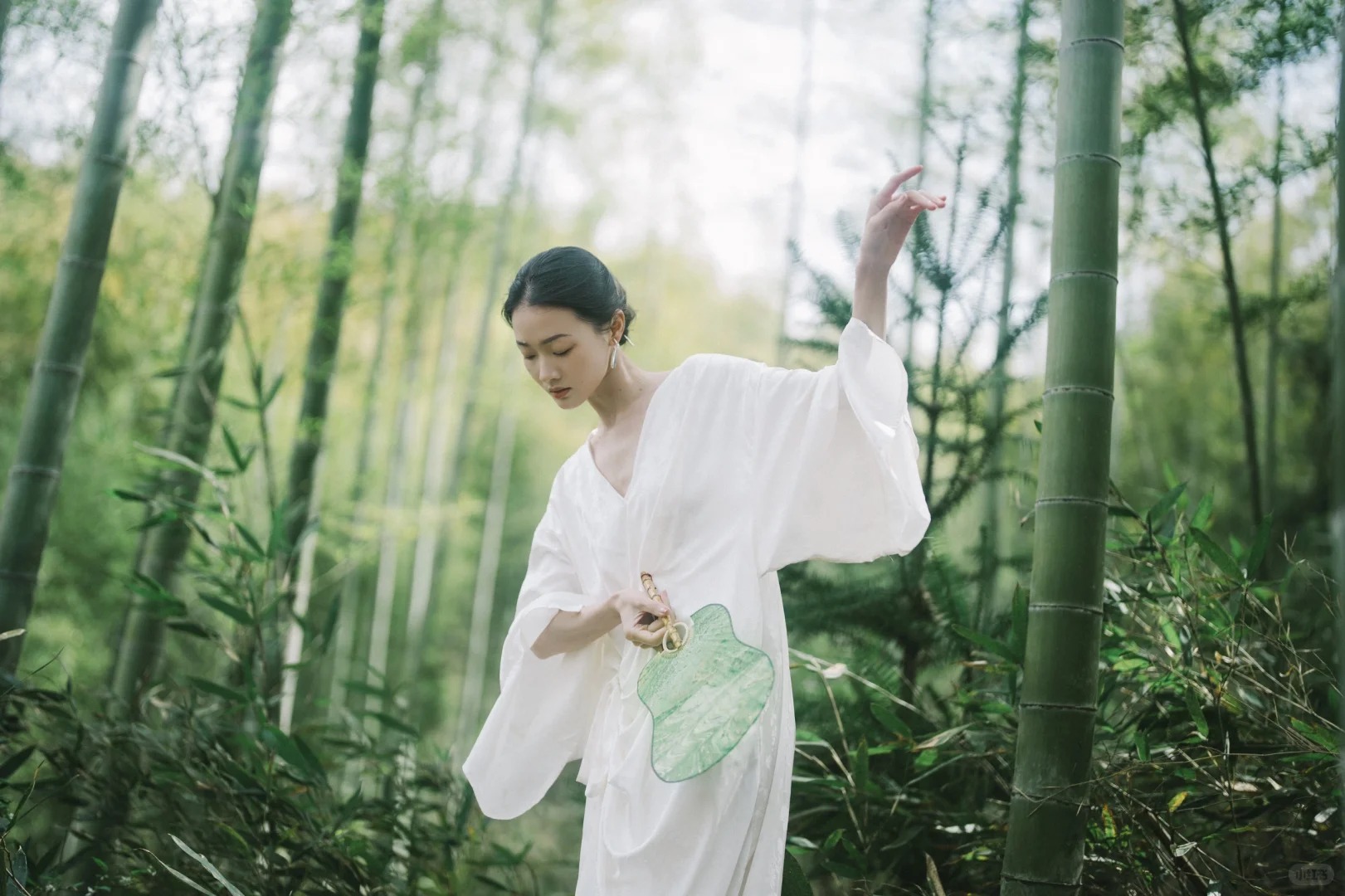 Tre ảnh hưởng gì tới nhà ở? cách trồng tre đúng chỗ cho không gian sống thêm may mắn - Ảnh 1.