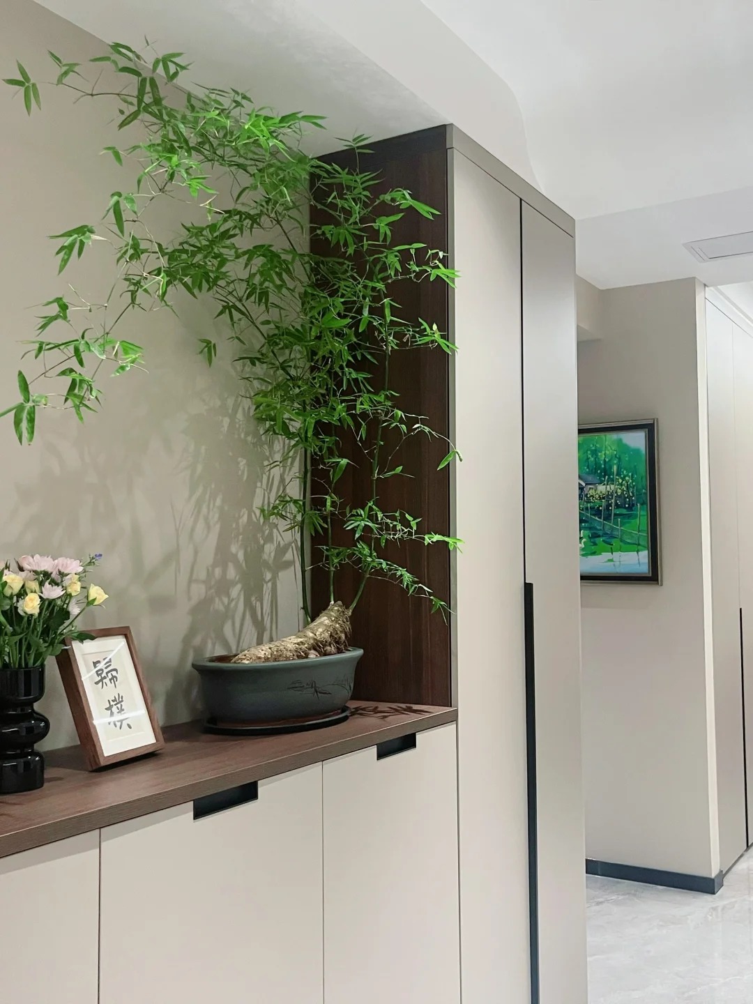 Tre ảnh hưởng gì tới nhà ở? cách trồng tre đúng chỗ cho không gian sống thêm may mắn - Ảnh 7.