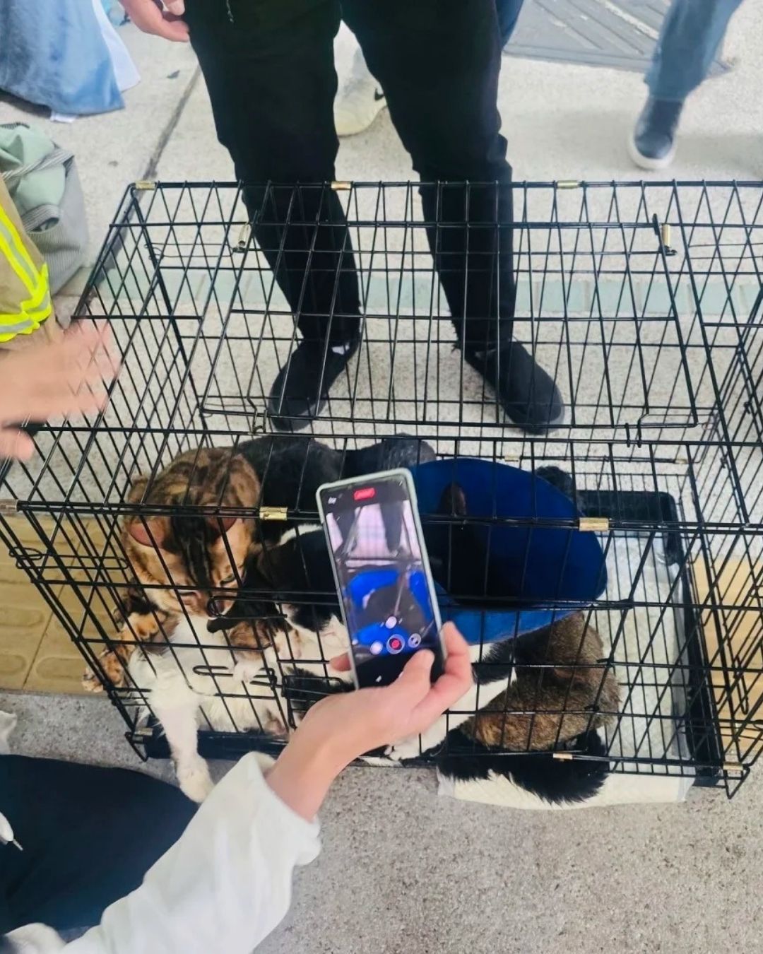 Câu chuyện cảm động giữa tang thương vụ cháy chung cư Hong Kong và lòng dũng cảm lính cứu hỏa - Ảnh 4. Câu chuyện cảm động giữa tang thương vụ cháy chung cư Hong Kong và lòng dũng cảm lính cứu hỏa - Ảnh 4.