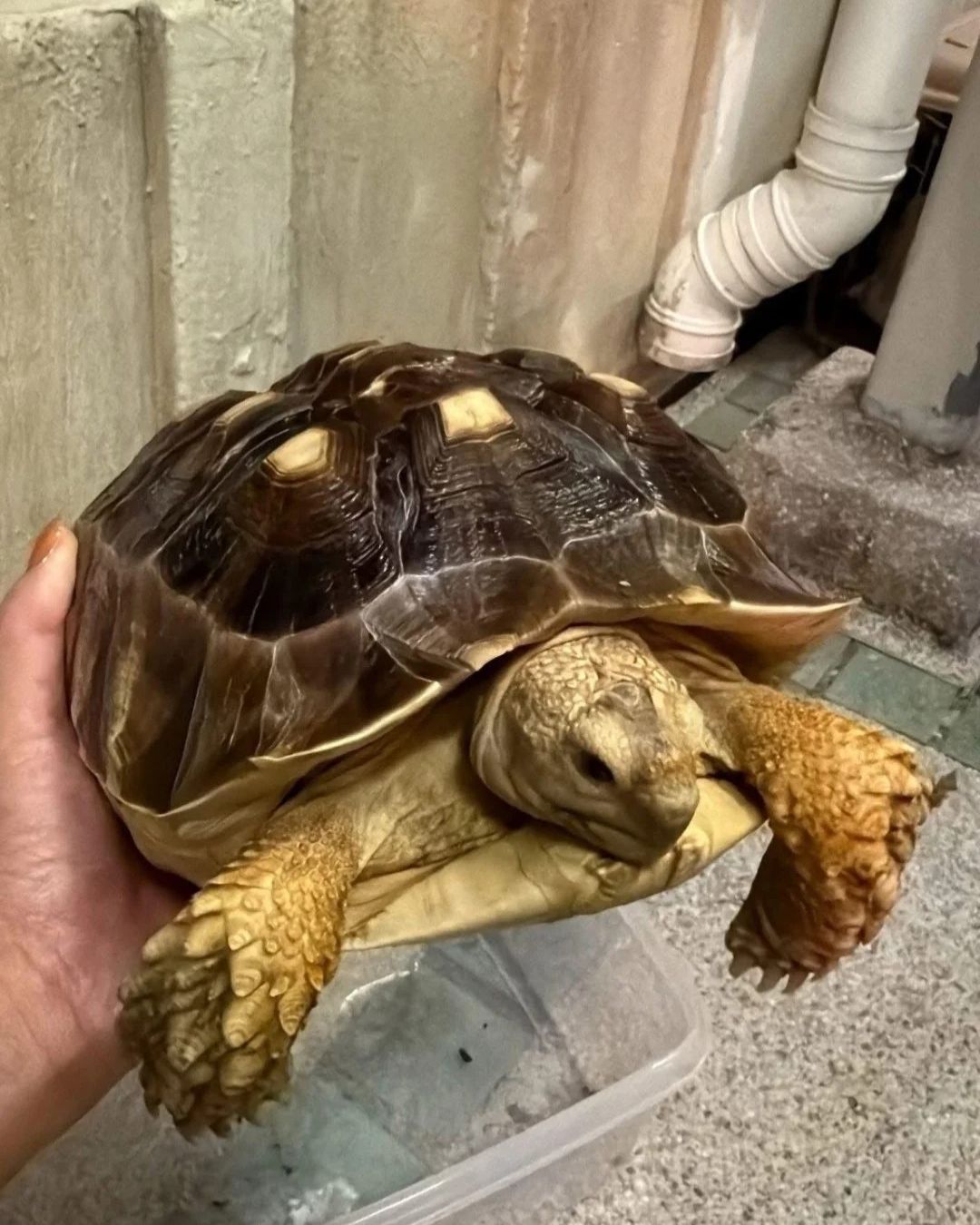 Câu chuyện cảm động giữa tang thương vụ cháy chung cư Hong Kong và lòng dũng cảm lính cứu hỏa - Ảnh 6. Câu chuyện cảm động giữa tang thương vụ cháy chung cư Hong Kong và lòng dũng cảm lính cứu hỏa - Ảnh 6.