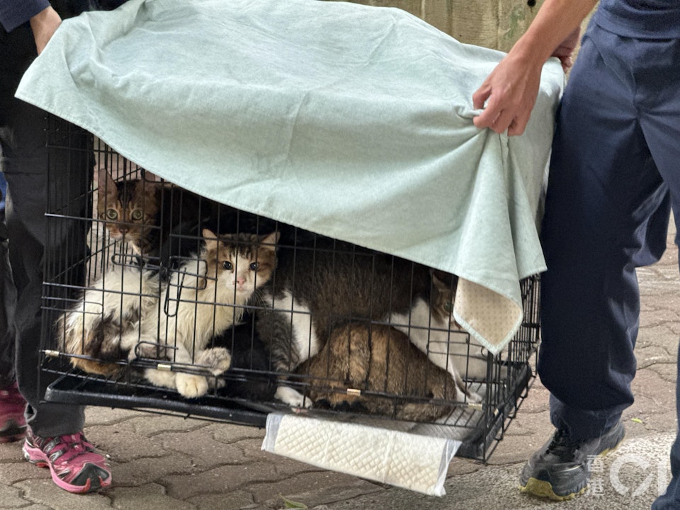 Câu chuyện cảm động giữa tang thương vụ cháy chung cư Hong Kong và lòng dũng cảm lính cứu hỏa - Ảnh 3. Câu chuyện cảm động giữa tang thương vụ cháy chung cư Hong Kong và lòng dũng cảm lính cứu hỏa - Ảnh 3.