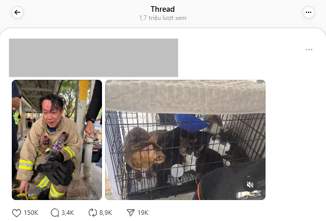 Đau lòng với hình ảnh lính cứu hỏa trong vụ cháy chung cư tồi tệ ở Hong Kong - Ảnh 3.