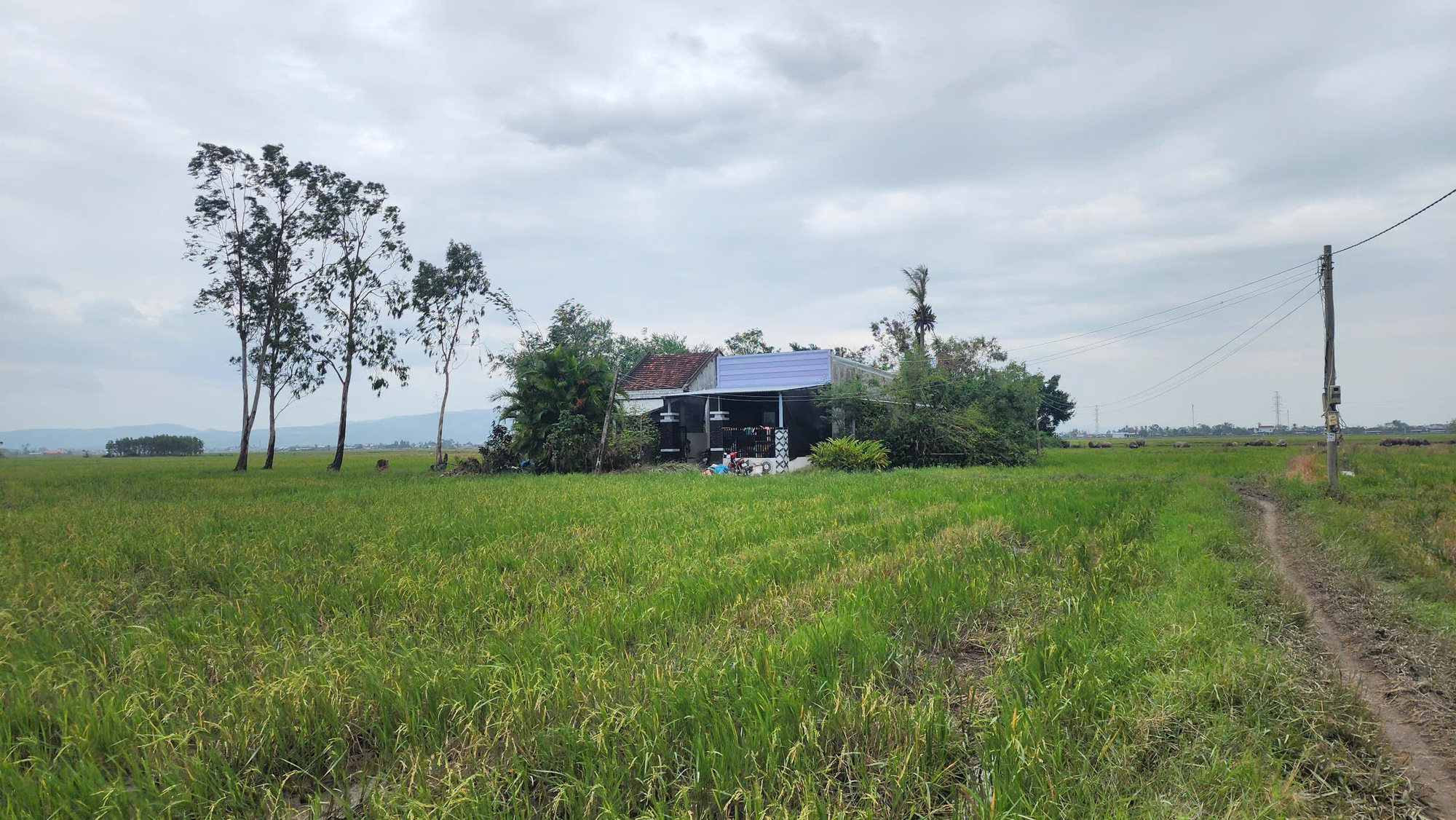 Gặp lại người phụ nữ và 2 con nhỏ trong lũ dữ: Lời kêu cứu ám ảnh - Ảnh 4.