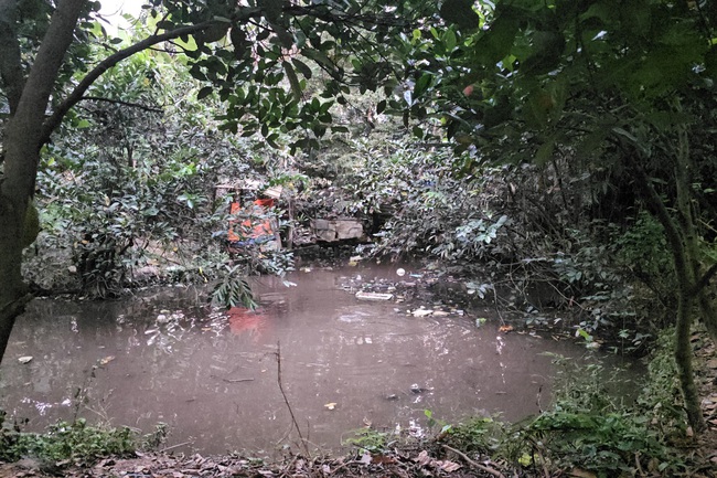 Thương t&acirc;m b&eacute; trai 5 tuổi ở TPHCM tử vong v&igrave; đuối nước tại ao nước sau nh&agrave; trọ - Ảnh 1.