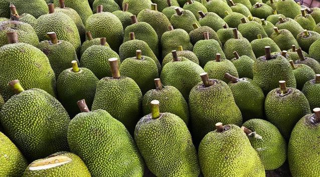 1 loại trái cây của Việt Nam chính thức được xuất khẩu chính ngạch sang Trung Quốc - Ảnh 1.