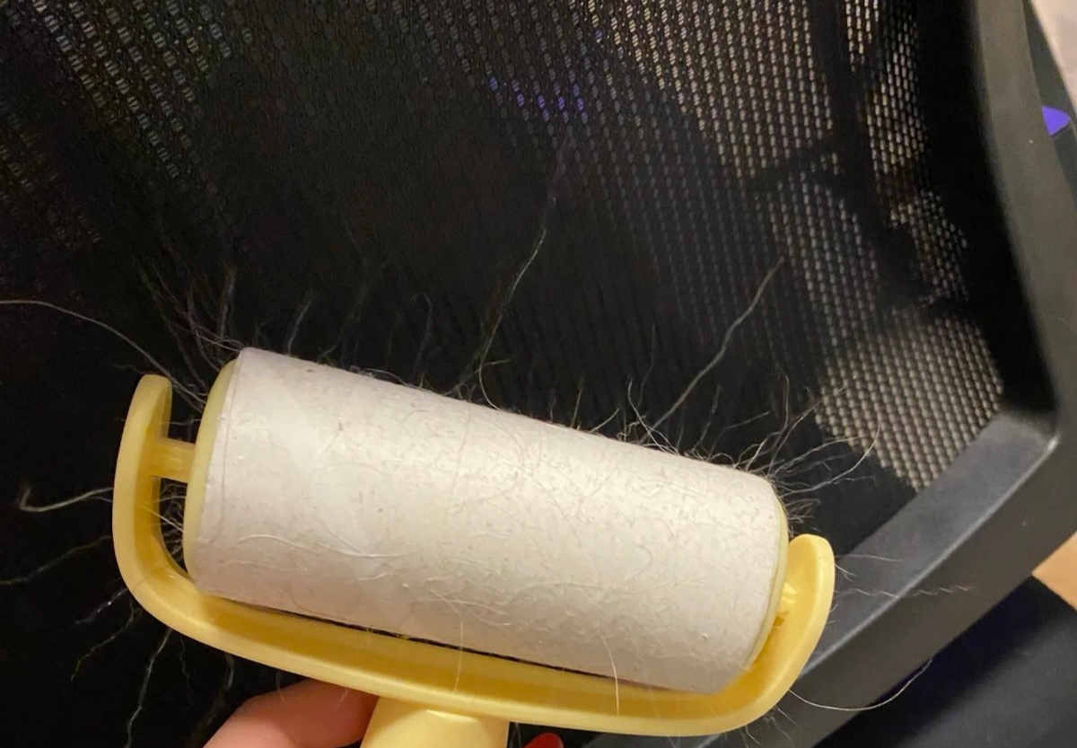 5 món giá rẻ rề nhưng chất lượng trên đỉnh chúng sinh- Ảnh 5. 5 món giá rẻ rề nhưng chất lượng trên đỉnh chúng sinh- Ảnh 5.