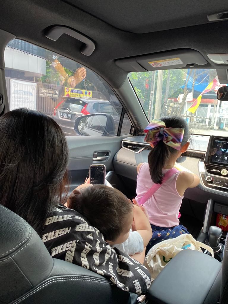 a - Ảnh 3. a - Ảnh 3.