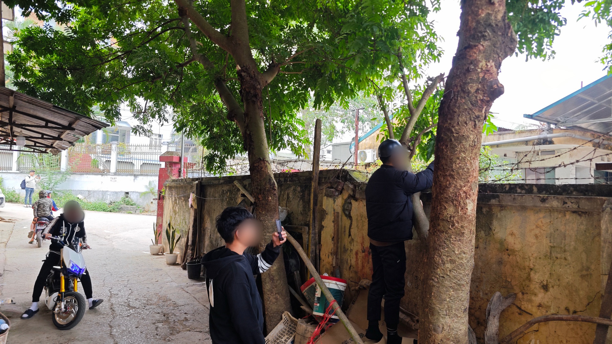 Người dân Lạng Sơn lên tiếng khi nhiều thanh niên tò mò, quay phim tại Trạm Quản lý thị trường số 4- Ảnh 7. Người dân Lạng Sơn lên tiếng khi nhiều thanh niên tò mò, quay phim tại Trạm Quản lý thị trường số 4- Ảnh 7.