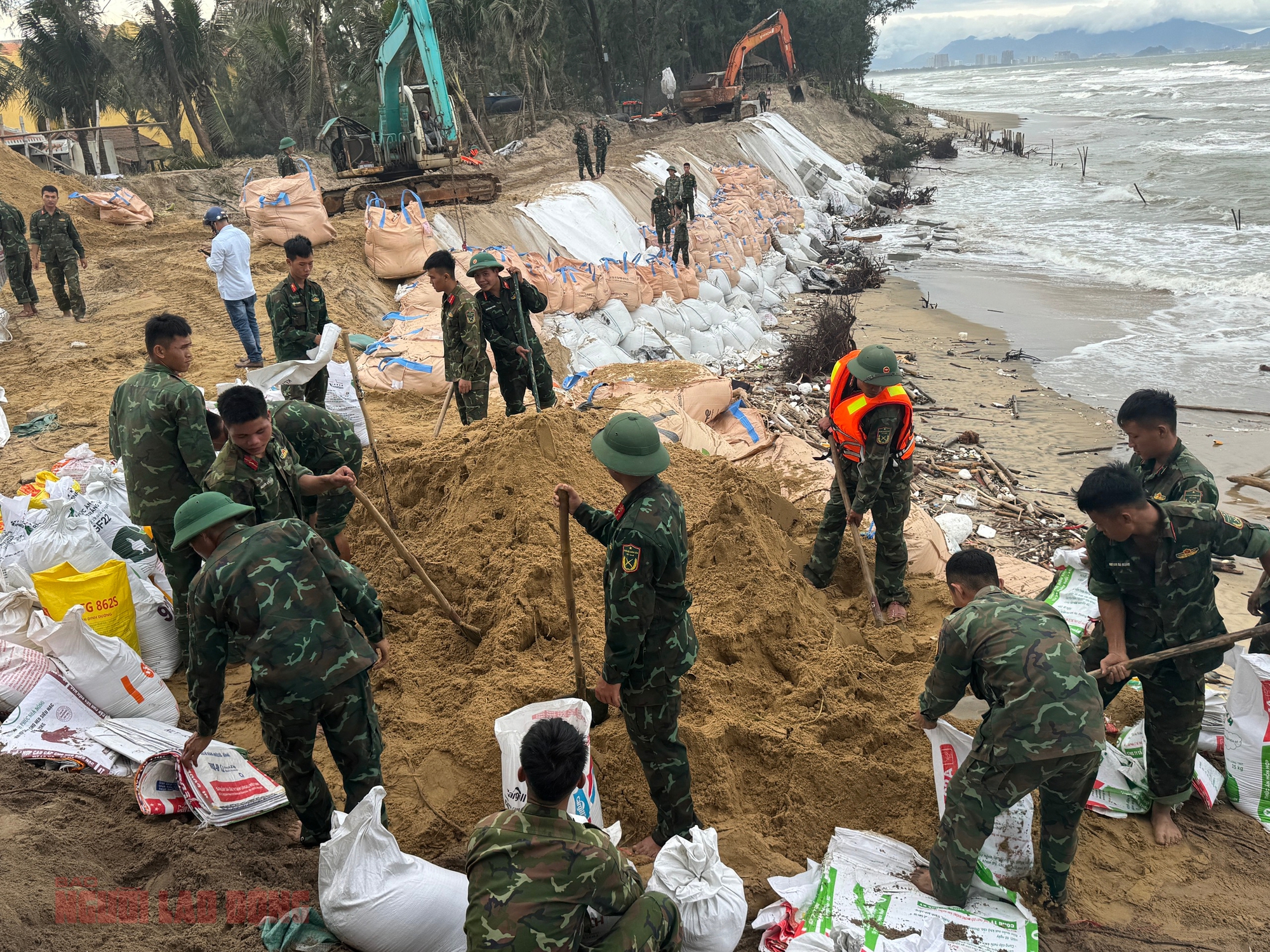 Đà Nẵng chủ động ứng phó với bão Kalmaegi, đảm bảo an toàn tuyệt đối cho người dân - Ảnh 1.