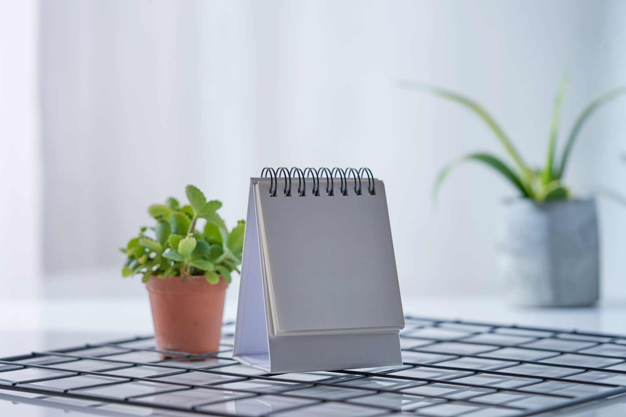 blank-desk-calendar-with-potted-plant-malaysia-royalty-free-image-1751942489-1762242603032235573644-1762243503199-1762243503401530985294.jpg