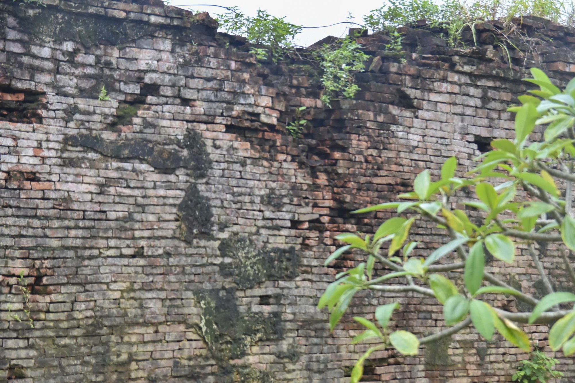 Sập tường Hoàng thành Huế: Cần làm gì để bảo vệ di tích thành lỹ cổ? - Ảnh 6.