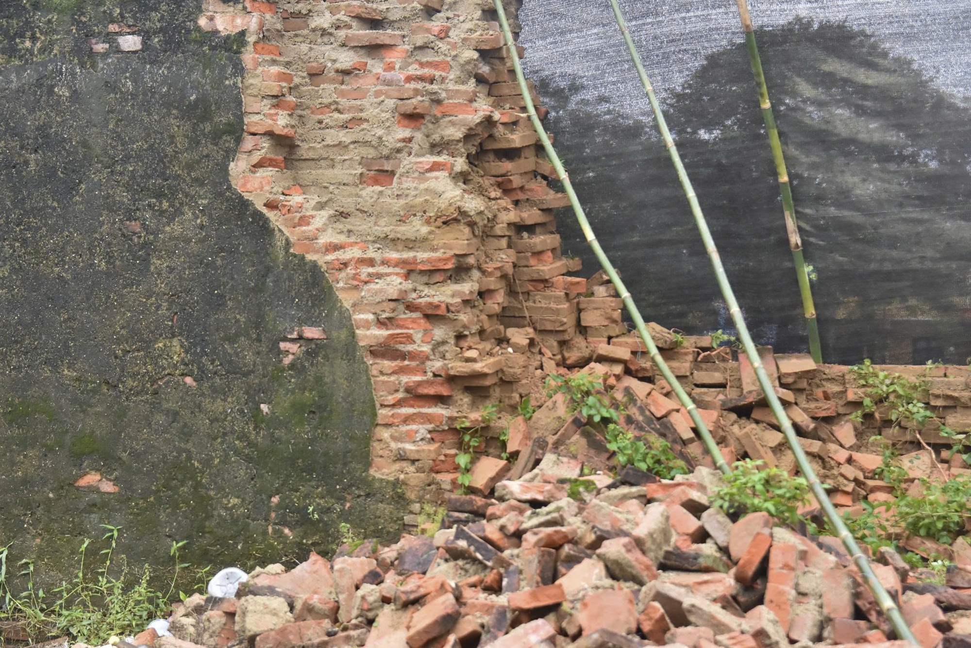 Sập tường Hoàng thành Huế: Cần làm gì để bảo vệ di tích thành lỹ cổ? - Ảnh 3.