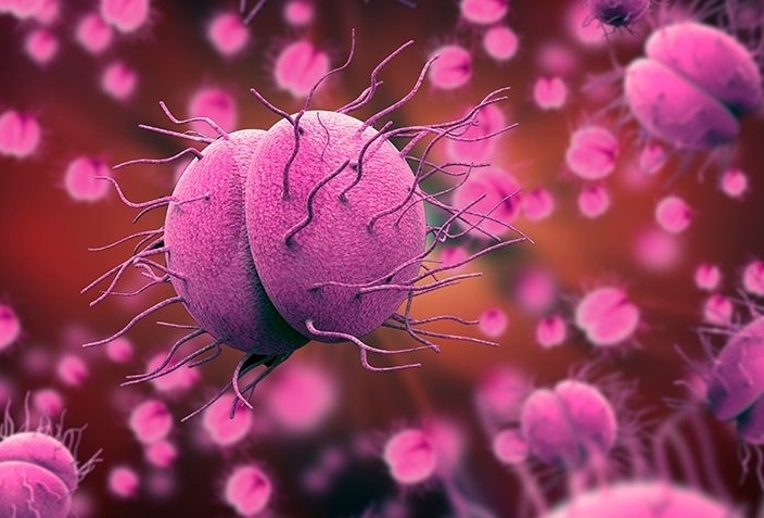 Hà Nội ghi nhận ca mắc não mô cầu là nam thanh niên 24 tuổi - Ảnh 1.