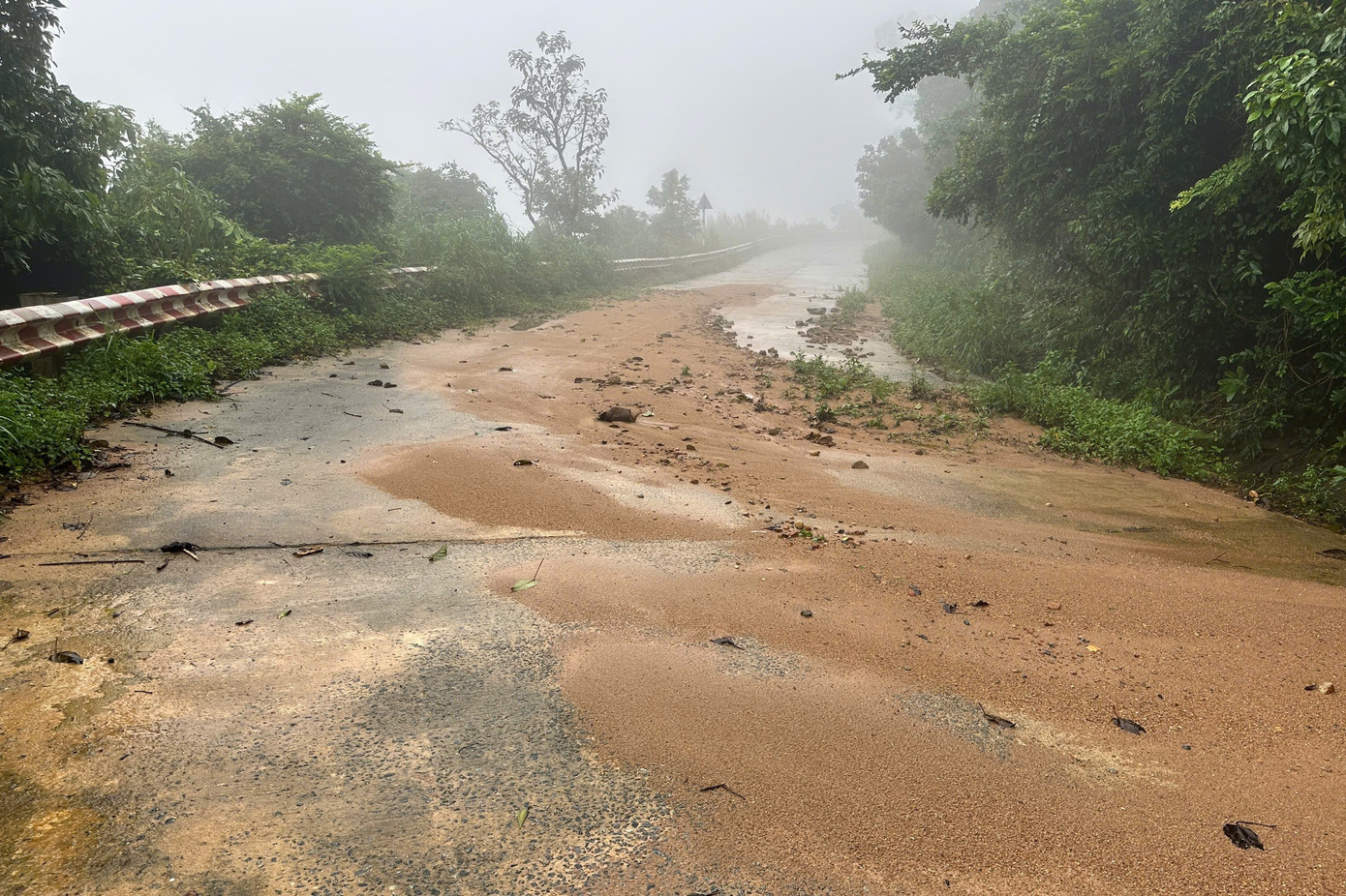 Sạt lở trên bán đảo Sơn Trà, đá khủng lăn xuống đường - Ảnh 3.