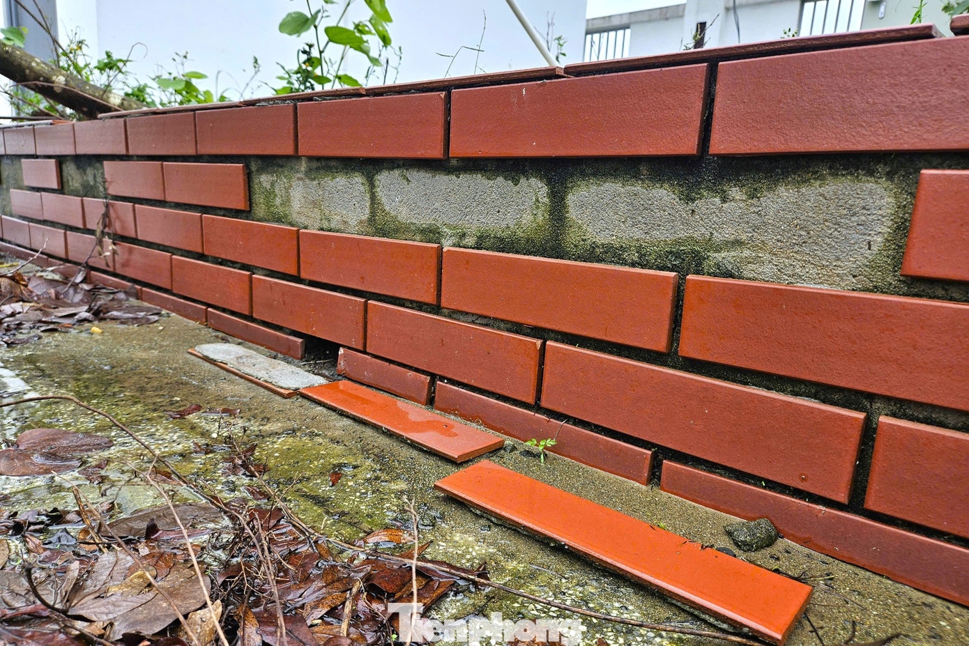 Trường mới xây bỏ không, cô trò chen chúc trong phòng học xuống cấp - Ảnh 11.