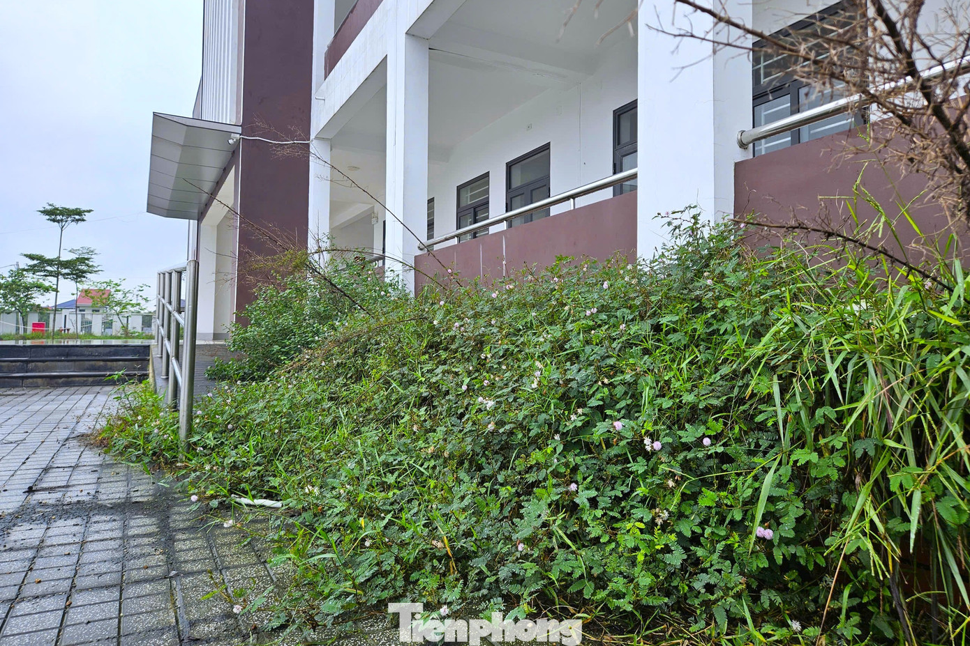 Trường mới xây bỏ không, cô trò chen chúc trong phòng học xuống cấp - Ảnh 9.