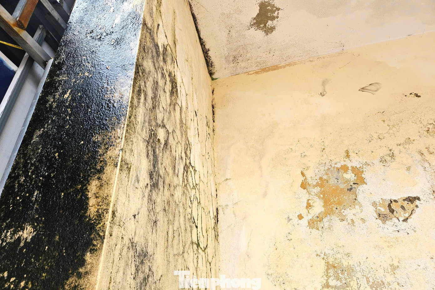 Trường mới xây bỏ không, cô trò chen chúc trong phòng học xuống cấp - Ảnh 15.