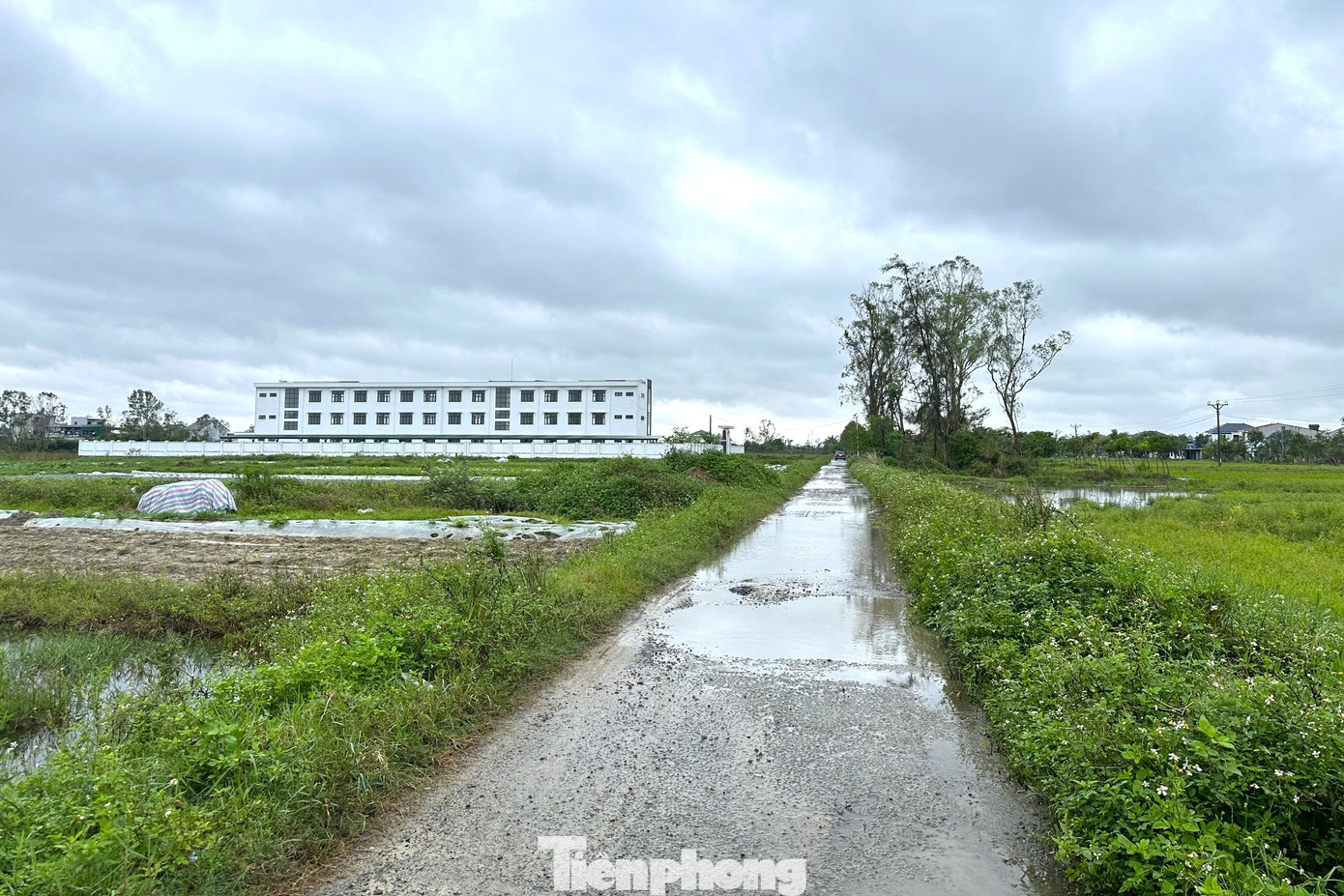 Trường mới xây bỏ không, cô trò chen chúc trong phòng học xuống cấp - Ảnh 5.