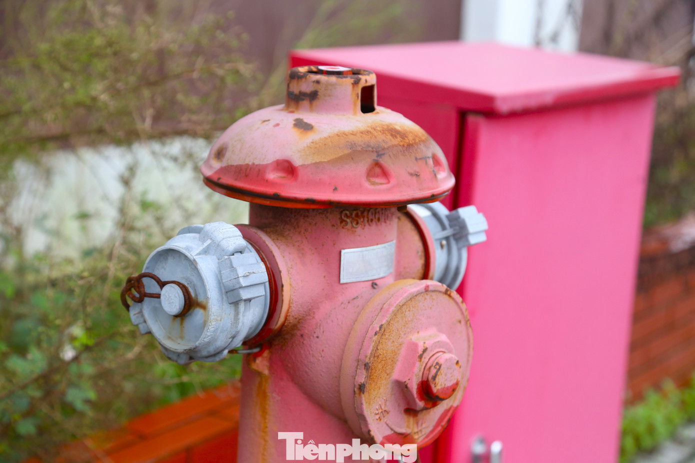 Trường mới xây bỏ không, cô trò chen chúc trong phòng học xuống cấp - Ảnh 7.