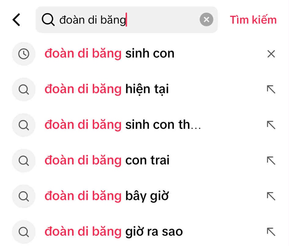 Xôn xao tình trạng hiện tại của Đoàn Di Băng và Nguyễn Quốc Vũ- Ảnh 3.