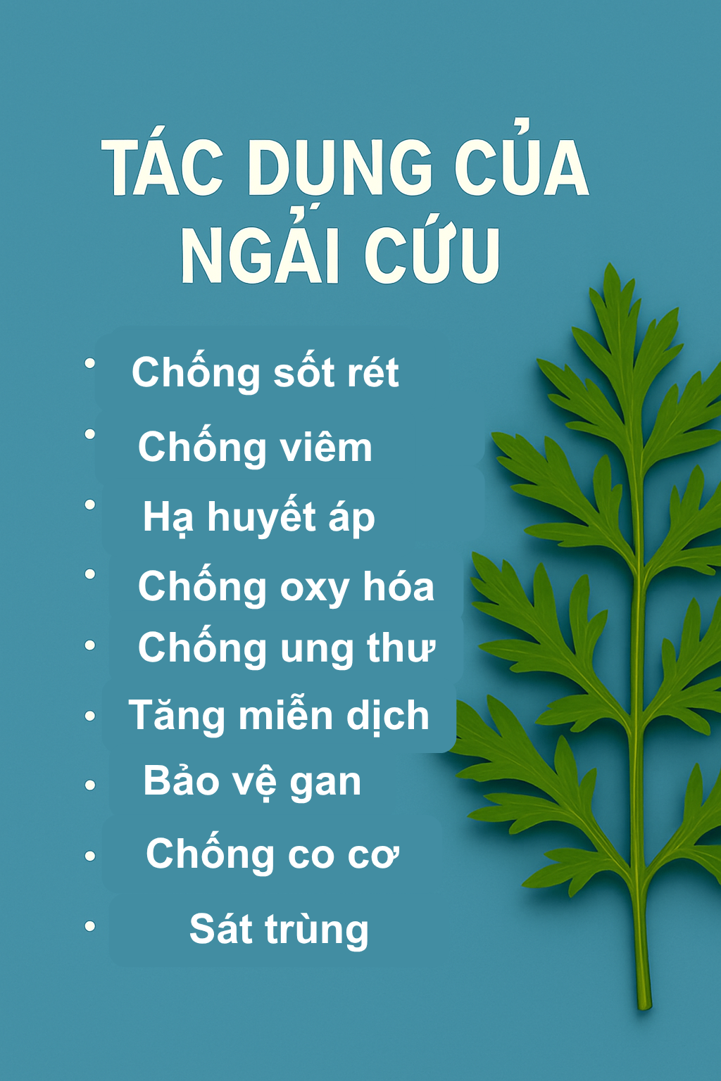 tac-dung-cua-rau-ngai-cuu-17622456786831837565691-1762313275672-176231327574987792782.png