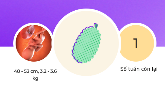 Tuần thai thứ 39: Bé yêu chờ ngày chào đời, tử cung của mẹ co bóp mạnh- Ảnh 1.