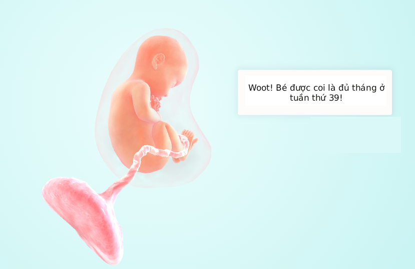 Tuần thai thứ 39: Bé yêu chờ ngày chào đời, tử cung của mẹ co bóp mạnh- Ảnh 5.