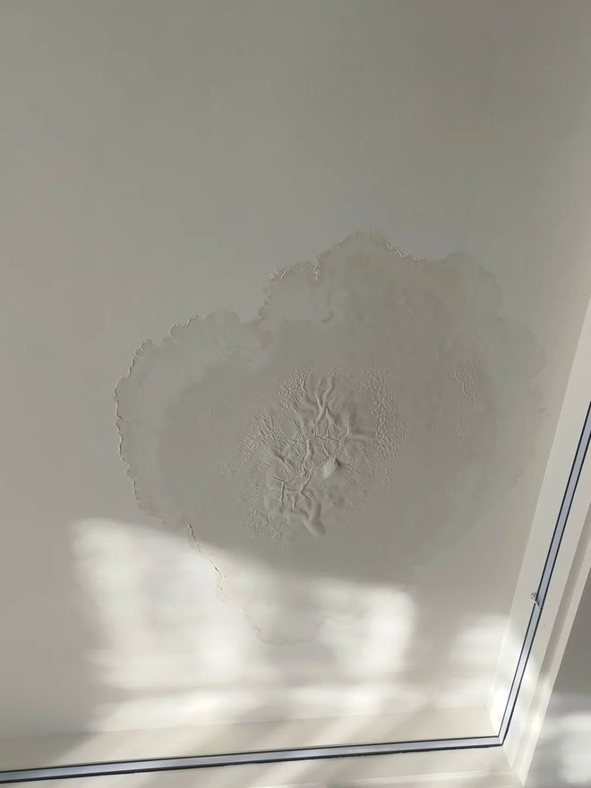 Mua nhà có sân thượng, tôi tưởng sẽ sống như quý cô - ai ngờ chỉ toàn dọn dẹp, tưới cây và lau bụi - Ảnh 2.