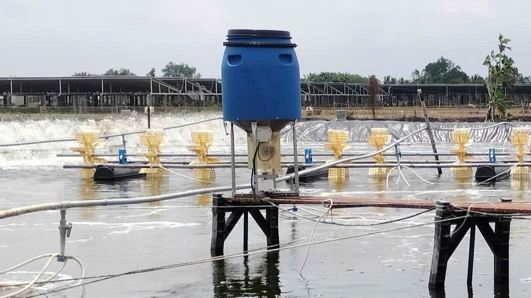 Phát hiện chồng và con nuôi tử vong dưới ao tôm - Ảnh 1.