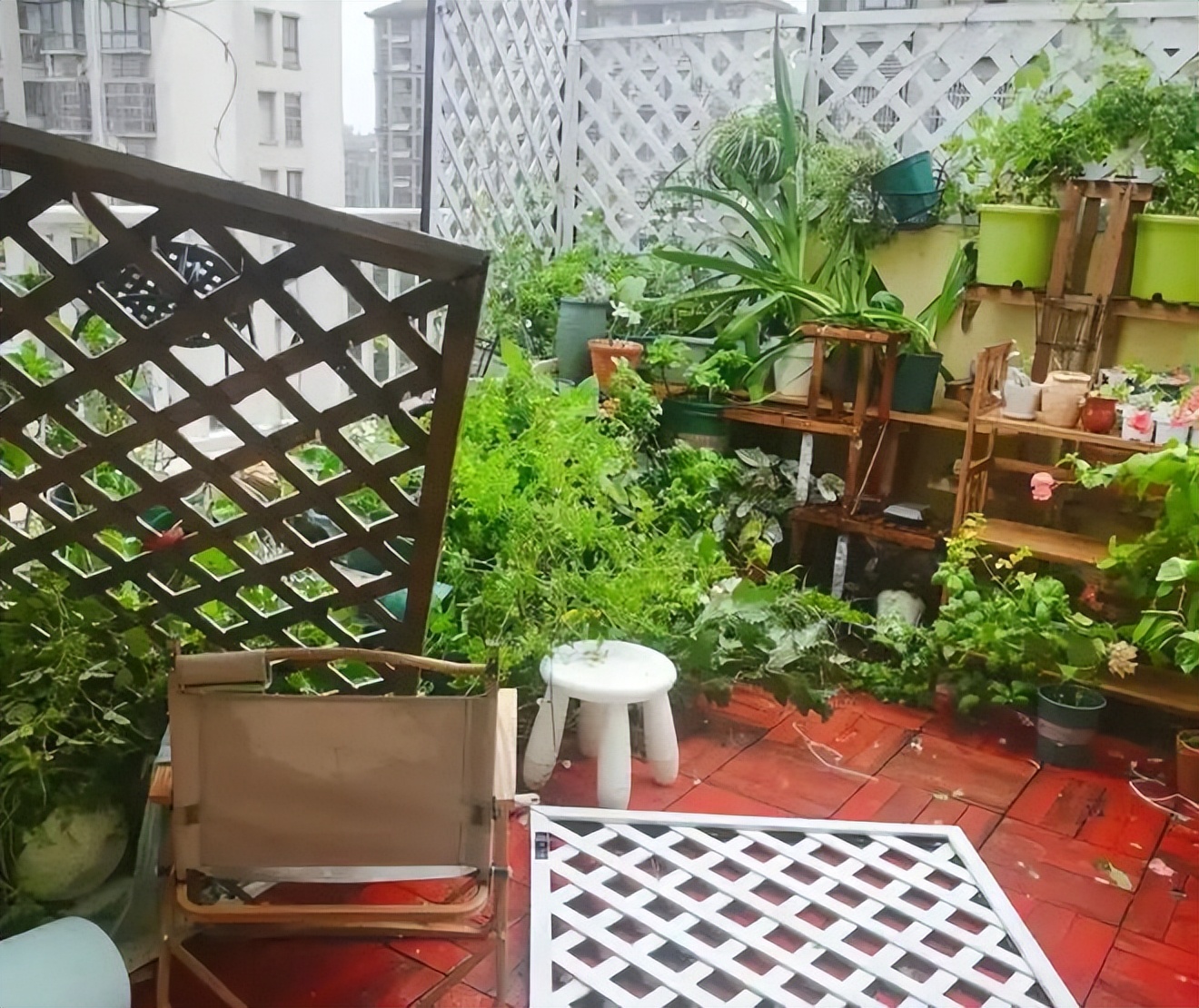 Mua nhà có sân thượng, tôi tưởng sẽ sống như quý cô - ai ngờ chỉ toàn dọn dẹp, tưới cây và lau bụi - Ảnh 1.