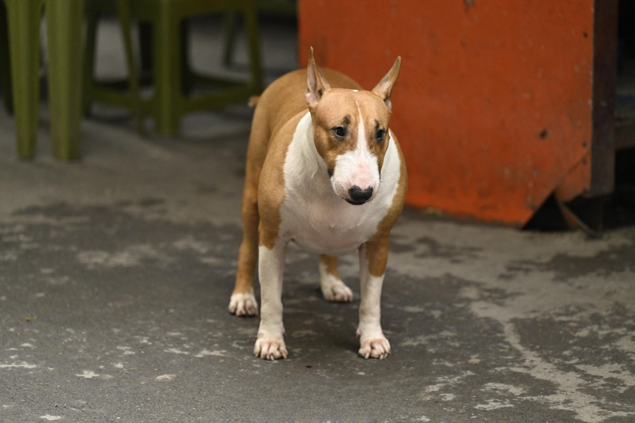 Không quay phim, chụp ảnh “cậu Vàng Mr. Gold” ngoài đời - Ảnh 5. Không quay phim, chụp ảnh “cậu Vàng Mr. Gold” ngoài đời - Ảnh 5.