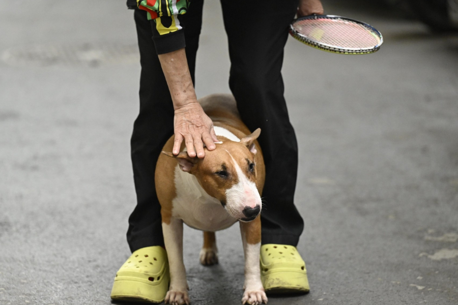 Không quay phim, chụp ảnh “cậu Vàng Mr. Gold” ngoài đời - Ảnh 7. Không quay phim, chụp ảnh “cậu Vàng Mr. Gold” ngoài đời - Ảnh 7.