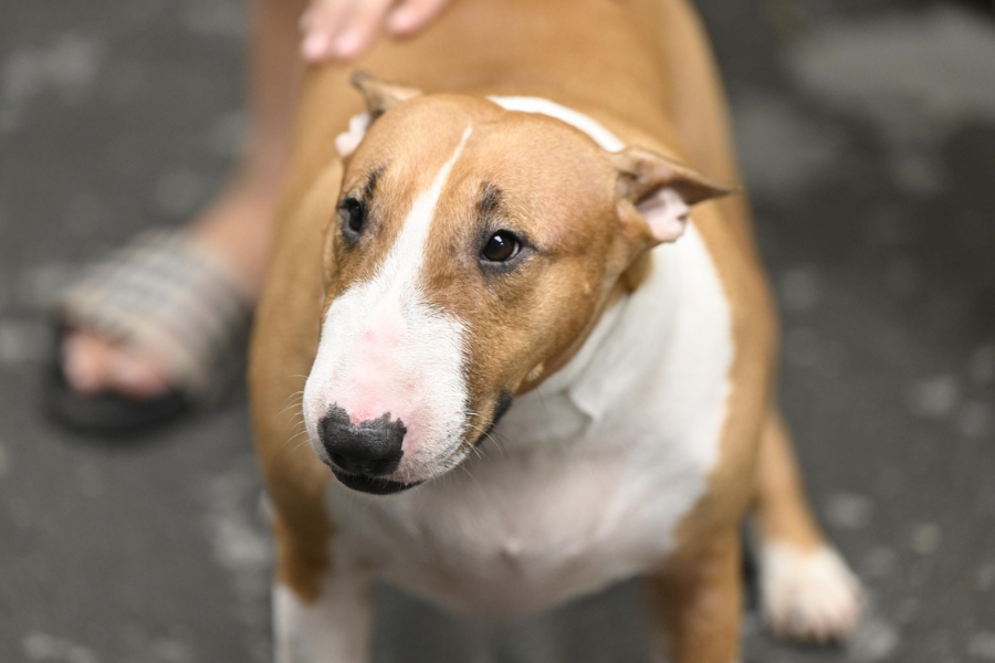 Không quay phim, chụp ảnh “cậu Vàng Mr. Gold” ngoài đời - Ảnh 1. Không quay phim, chụp ảnh “cậu Vàng Mr. Gold” ngoài đời - Ảnh 1.