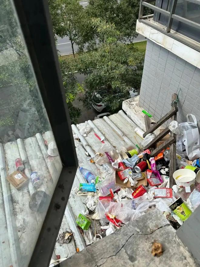 Mua nhà có sân thượng, tôi tưởng sẽ sống như quý cô - ai ngờ chỉ toàn dọn dẹp, tưới cây và lau bụi - Ảnh 3.