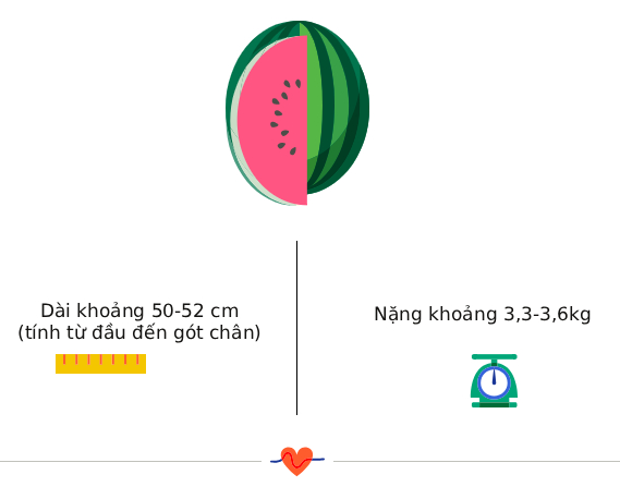 Tuần thai thứ 40: Ngày dự sinh đã đến, bé đã hoàn toàn sẵn sàng gặp mẹ rồi!- Ảnh 3. Tuần thai thứ 40: Ngày dự sinh đã đến, bé đã hoàn toàn sẵn sàng gặp mẹ rồi!- Ảnh 3.