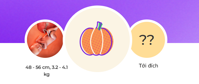 Tuần thai thứ 40: Ngày dự sinh đã đến, bé đã hoàn toàn sẵn sàng gặp mẹ rồi!- Ảnh 1. Tuần thai thứ 40: Ngày dự sinh đã đến, bé đã hoàn toàn sẵn sàng gặp mẹ rồi!- Ảnh 1.