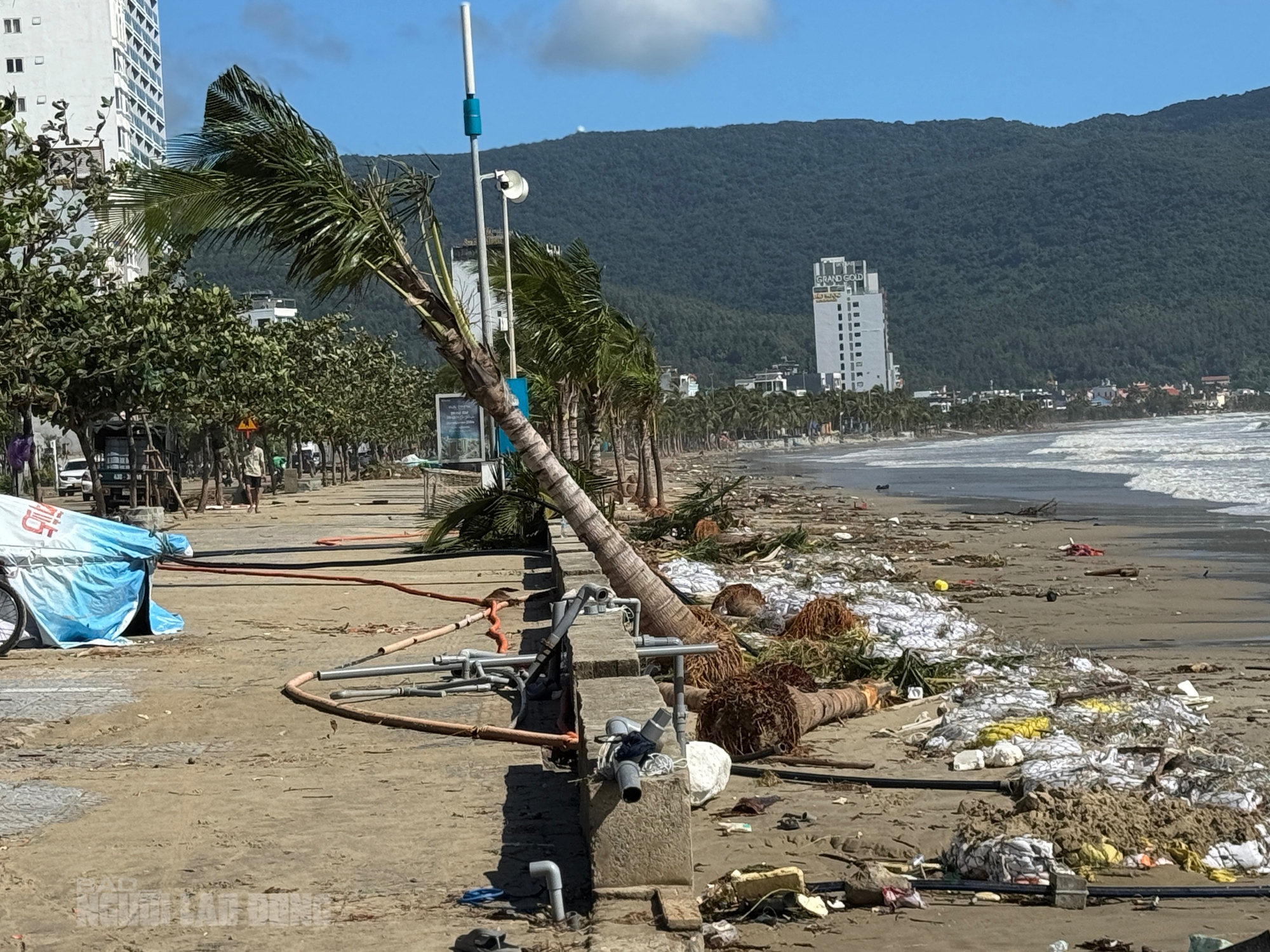 Bãi biển Đà Nẵng ngổn ngang sau bão số 13 Kalmaegi - Ảnh 3. Hình ảnh bãi biển Đà Nẵng ngổn ngang sau bão số 13 Kalmaegi - Ảnh 2.