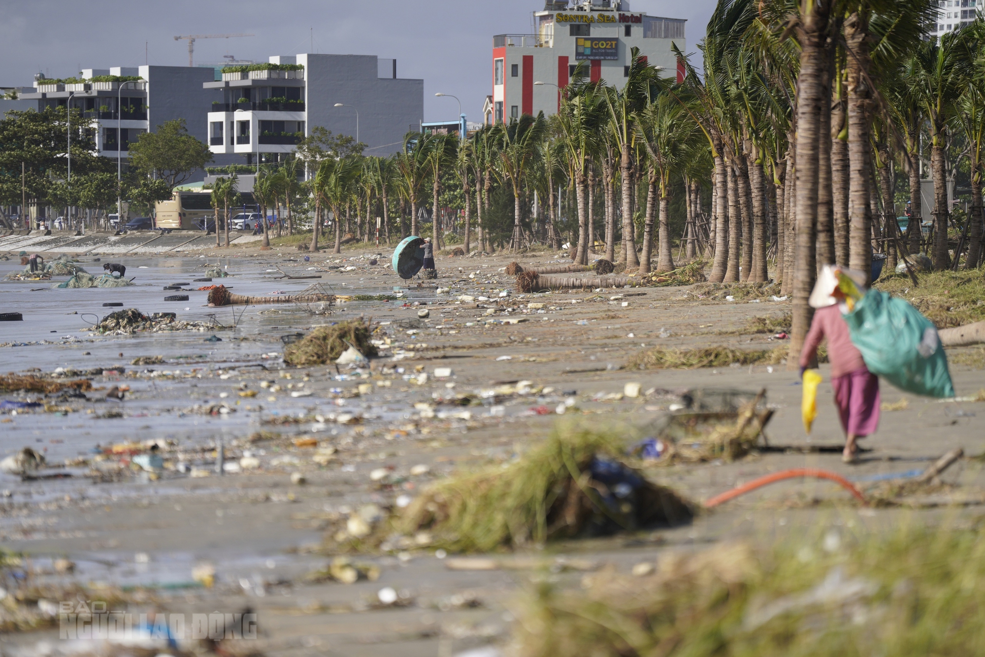 Bãi biển Đà Nẵng ngổn ngang sau bão số 13 Kalmaegi - Ảnh 4. Hình ảnh bãi biển Đà Nẵng ngổn ngang sau bão số 13 Kalmaegi - Ảnh 3.