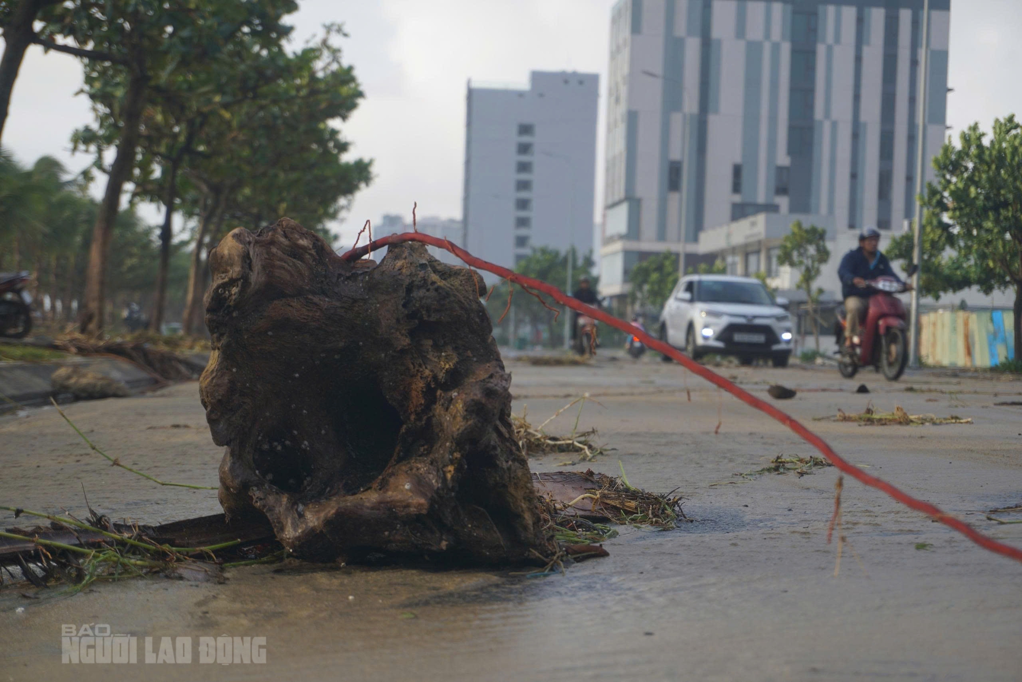 Bãi biển Đà Nẵng ngổn ngang sau bão số 13 Kalmaegi - Ảnh 8. Hình ảnh bãi biển Đà Nẵng ngổn ngang sau bão số 13 Kalmaegi - Ảnh 7.