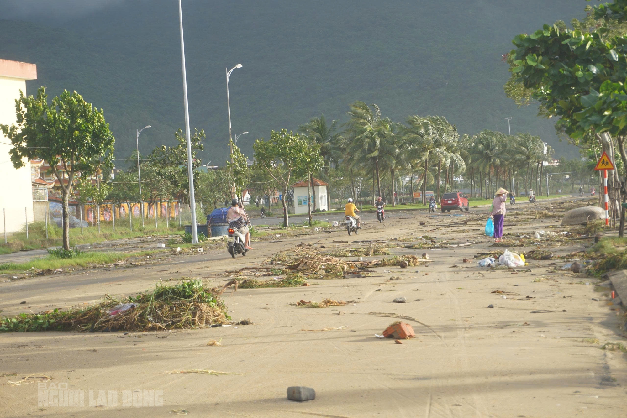 Bãi biển Đà Nẵng ngổn ngang sau bão số 13 Kalmaegi - Ảnh 10. Hình ảnh bãi biển Đà Nẵng ngổn ngang sau bão số 13 Kalmaegi - Ảnh 9.