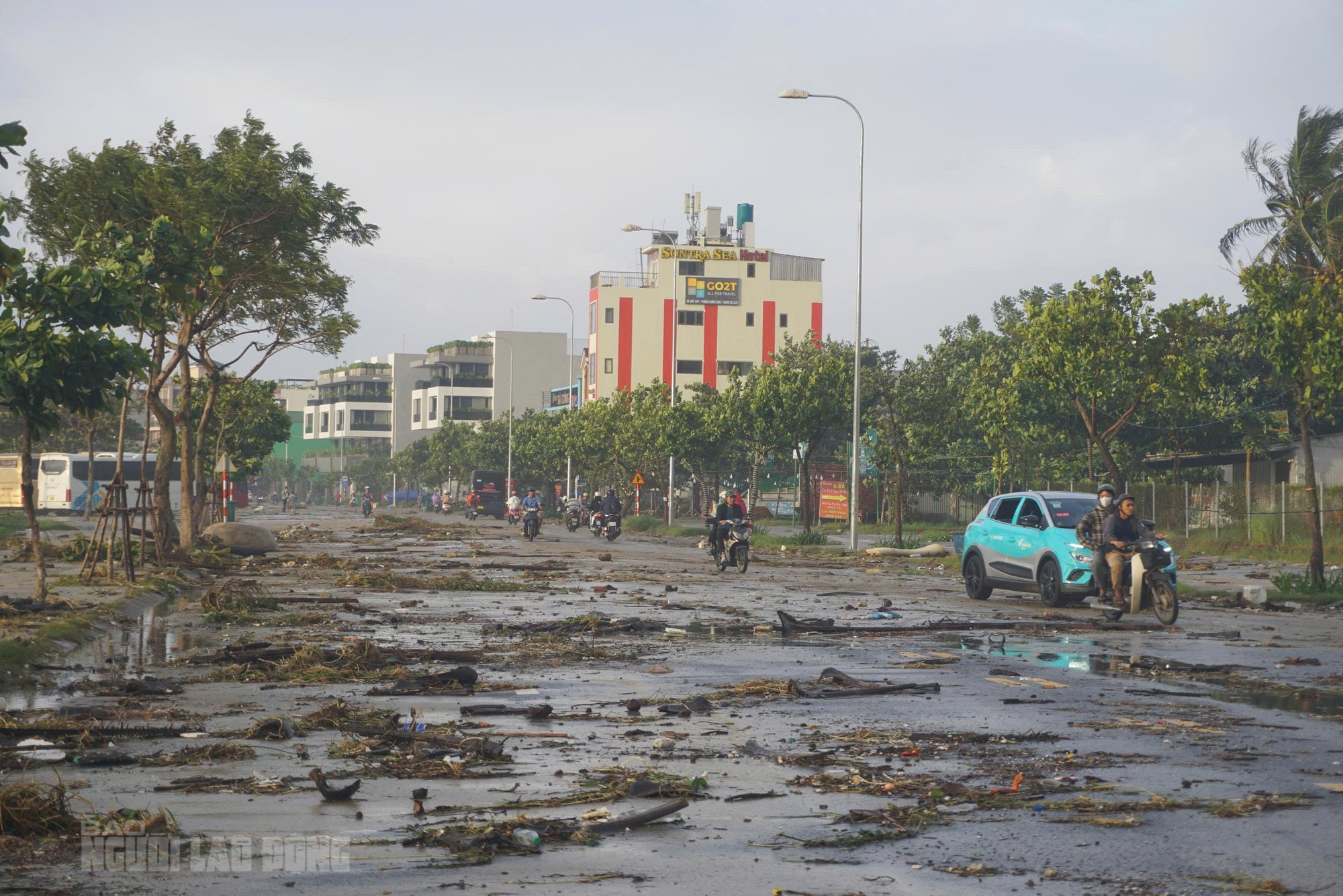 Bãi biển Đà Nẵng ngổn ngang sau bão số 13 Kalmaegi - Ảnh 11. Hình ảnh bãi biển Đà Nẵng ngổn ngang sau bão số 13 Kalmaegi - Ảnh 10.