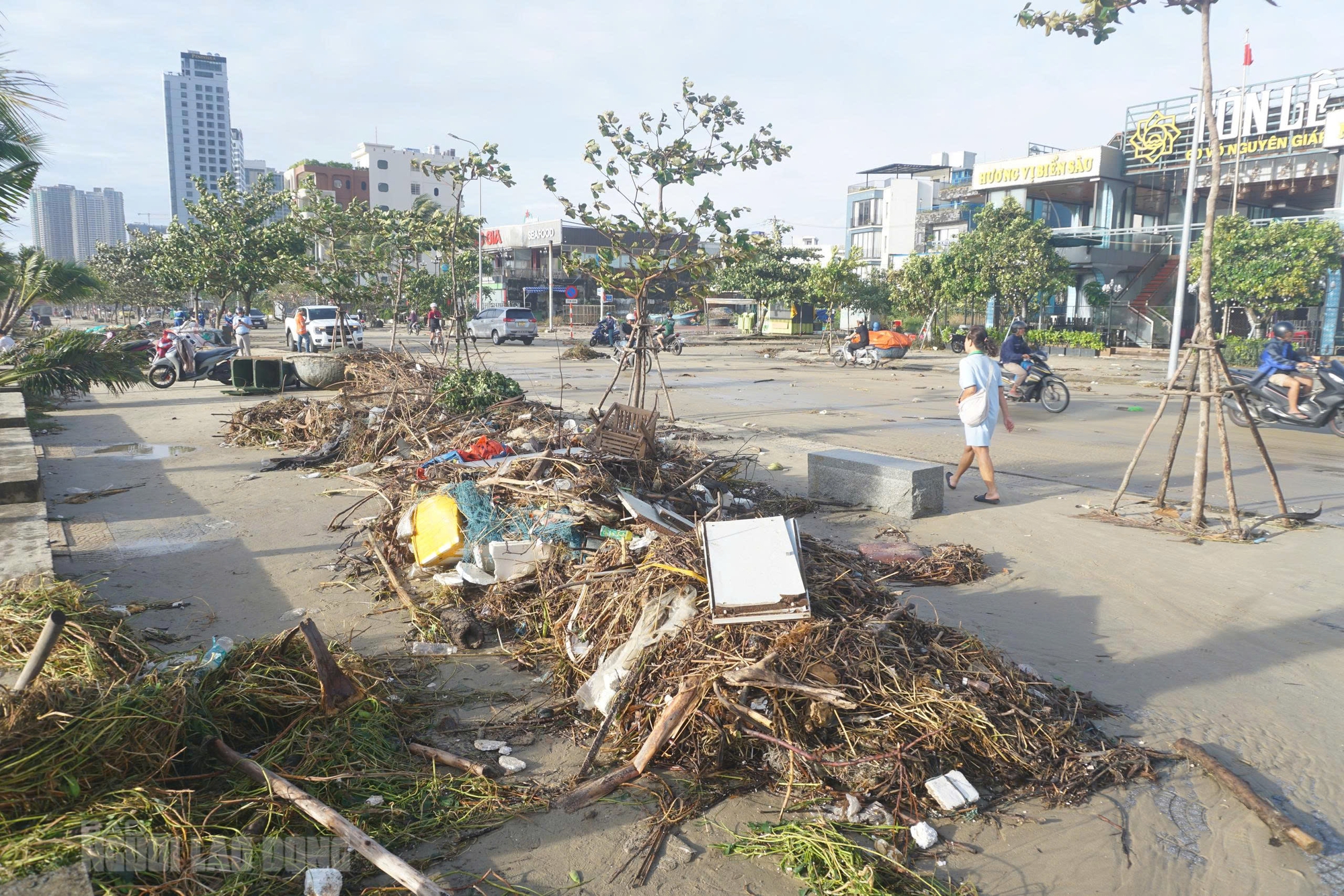 Bãi biển Đà Nẵng ngổn ngang sau bão số 13 Kalmaegi - Ảnh 12. Hình ảnh bãi biển Đà Nẵng ngổn ngang sau bão số 13 Kalmaegi - Ảnh 11.