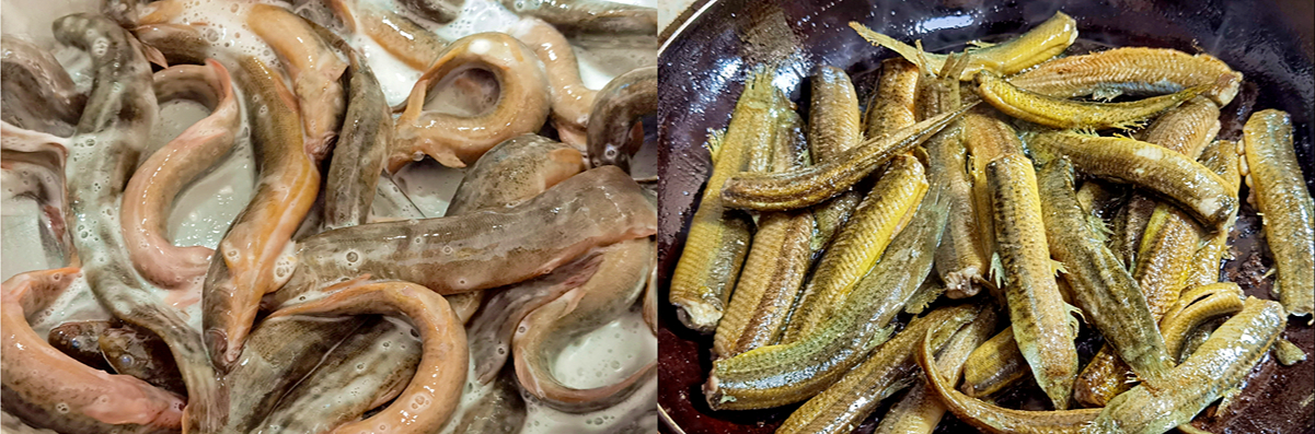 3 loại cá này ngon và bổ dưỡng nhất: Làm 3 món ăn siêu ngon lại giúp bổ não và có hệ miễn dịch tốt - Ảnh 6. 3 loại cá này ngon và bổ dưỡng nhất: Làm 3 món ăn siêu ngon lại giúp bổ não và có hệ miễn dịch tốt - Ảnh 6.