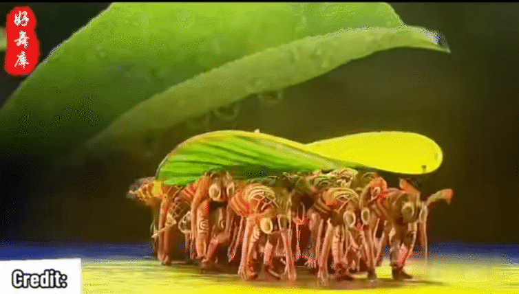 Lại thêm một bài múa thiếu nhi  - Ảnh 2.