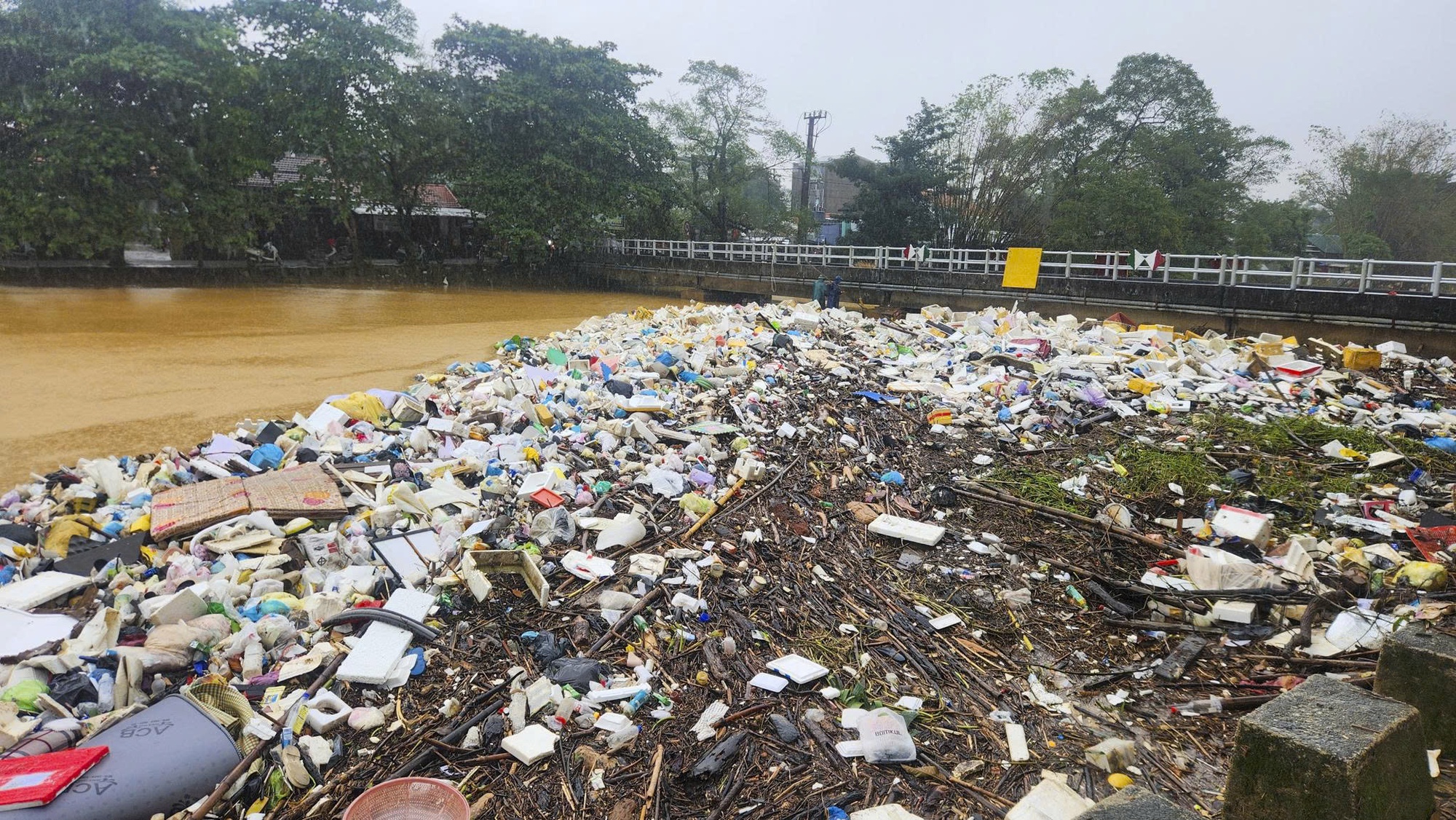 - Ảnh 8. - Ảnh 8.