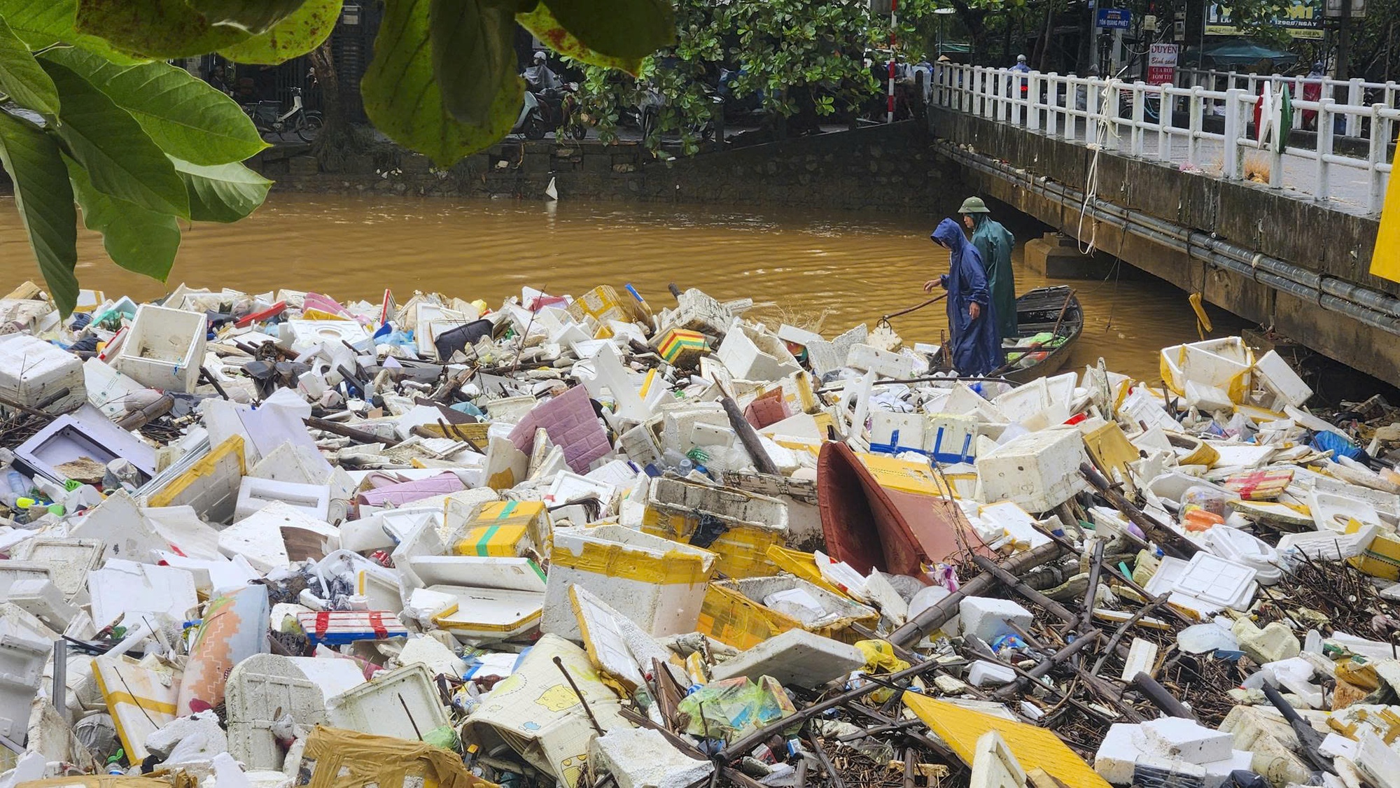 - Ảnh 4. - Ảnh 4.