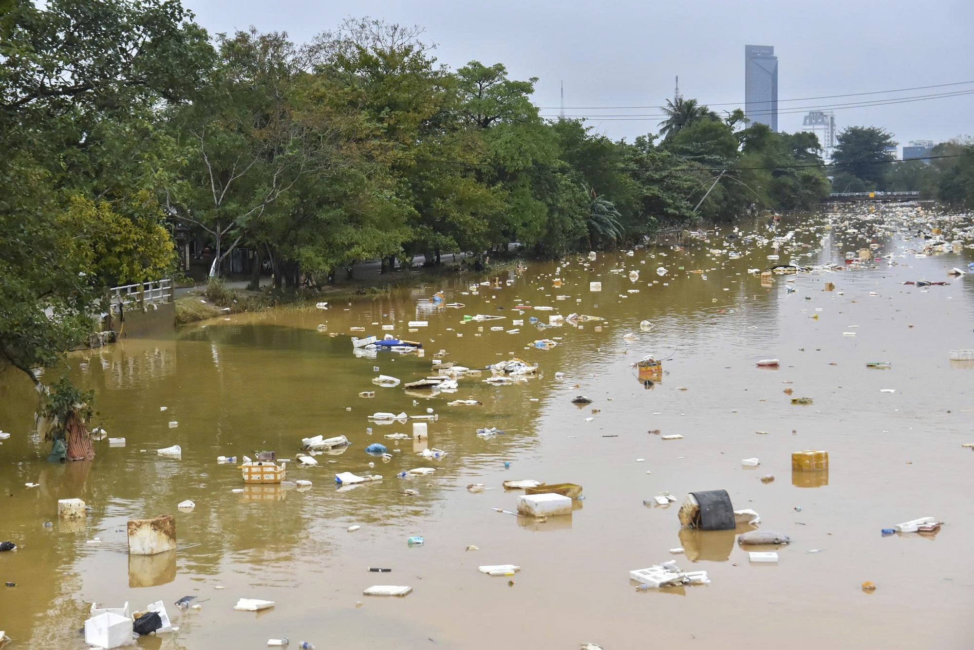 - Ảnh 5. - Ảnh 5.