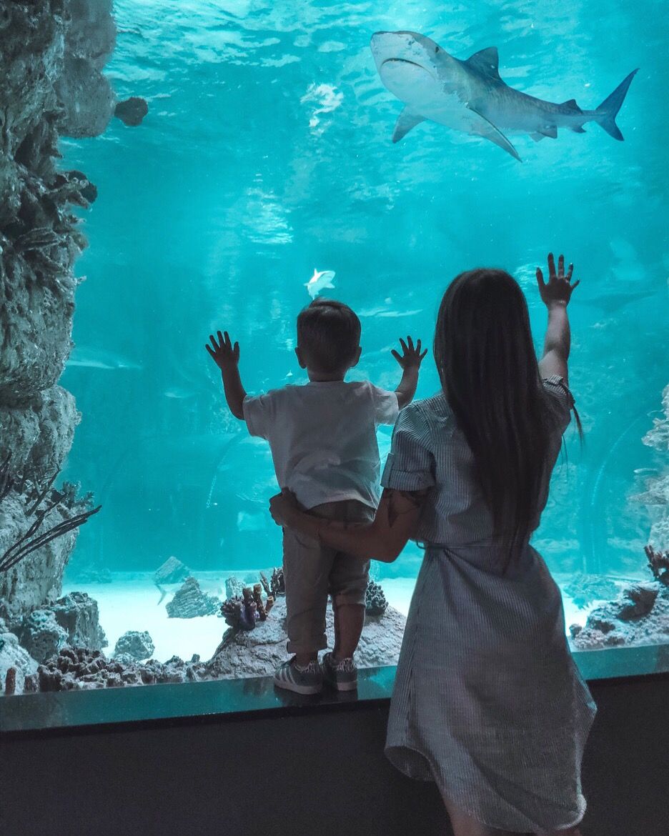 Sau ly hôn, không được ở bên con trong mọi dịp lễ và đây là cách tôi cùng con làm quen với 