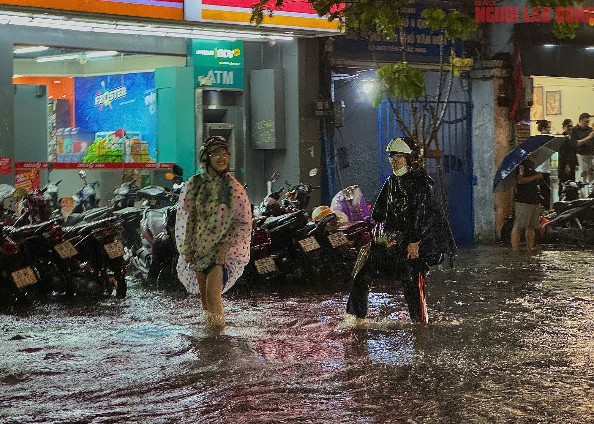 - Ảnh 3. - Ảnh 3.